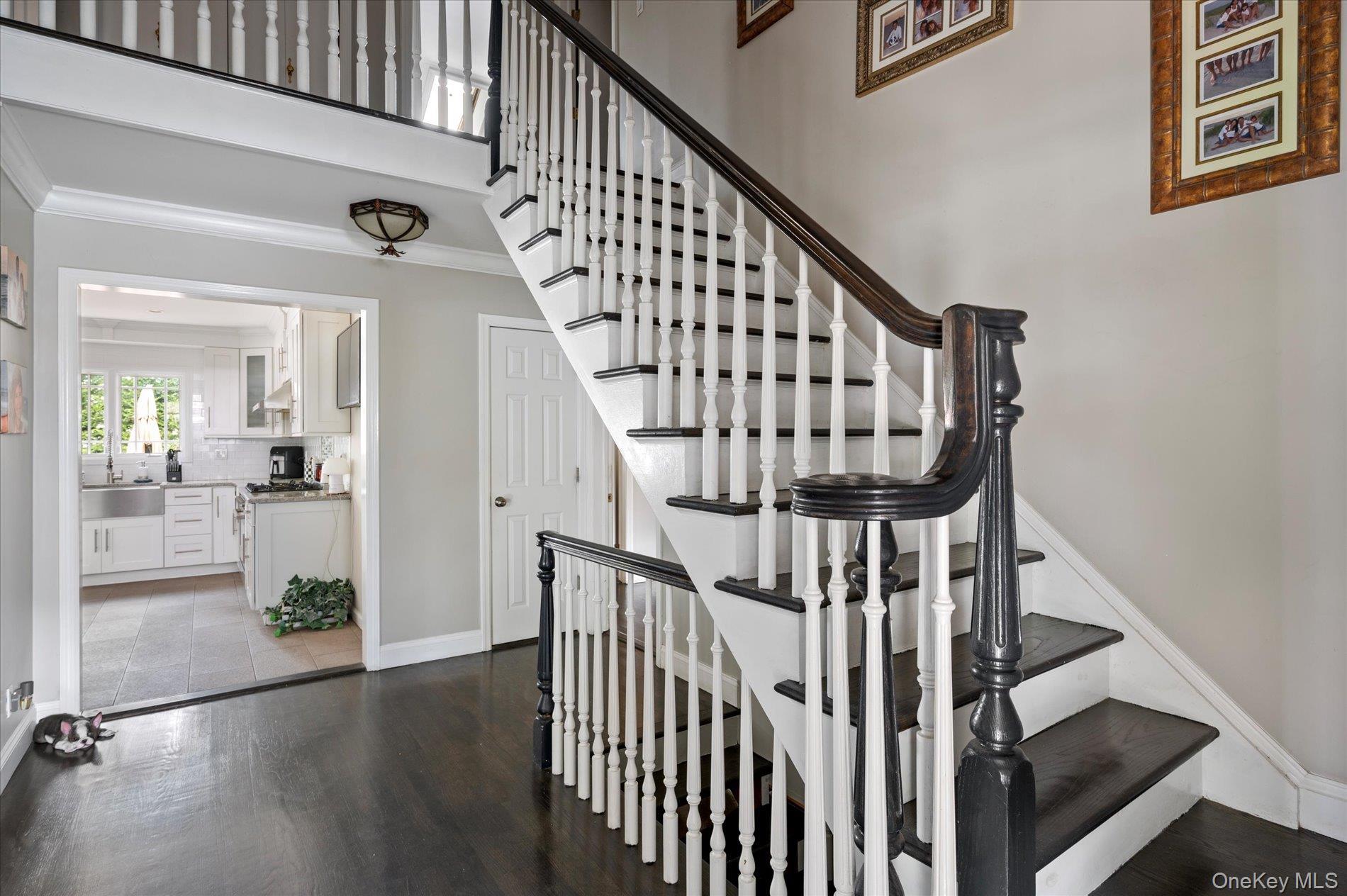 Single Family Boxwood Nassau County, NY 11557, MLS-913560-5