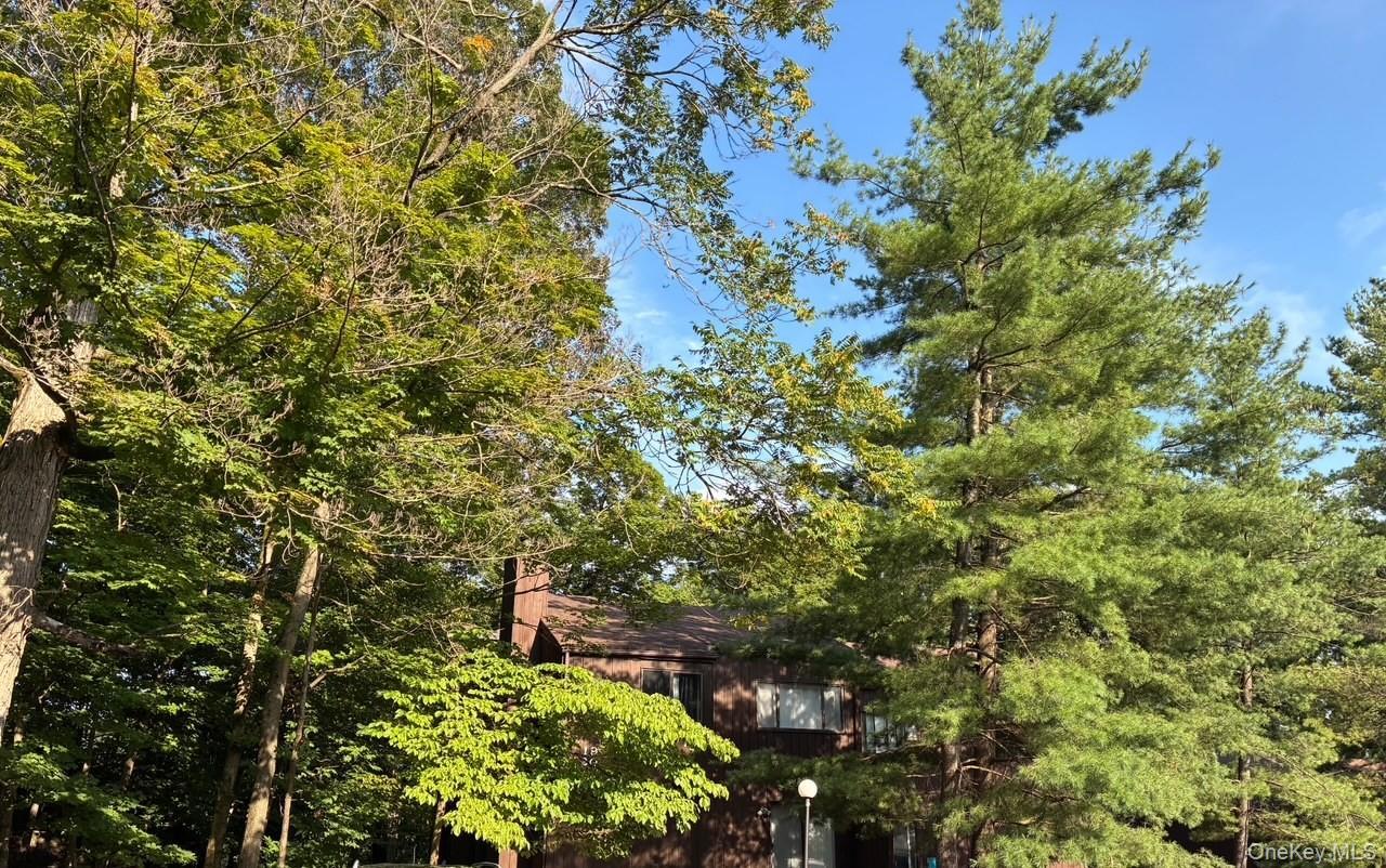 Single Family Redwood  Orange County, NY 10930, MLS-913681-6