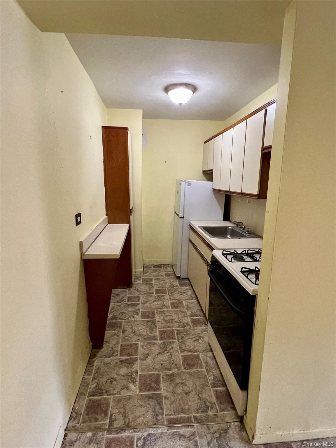 Coop 155  Queens, NY 11414, MLS-913685-8