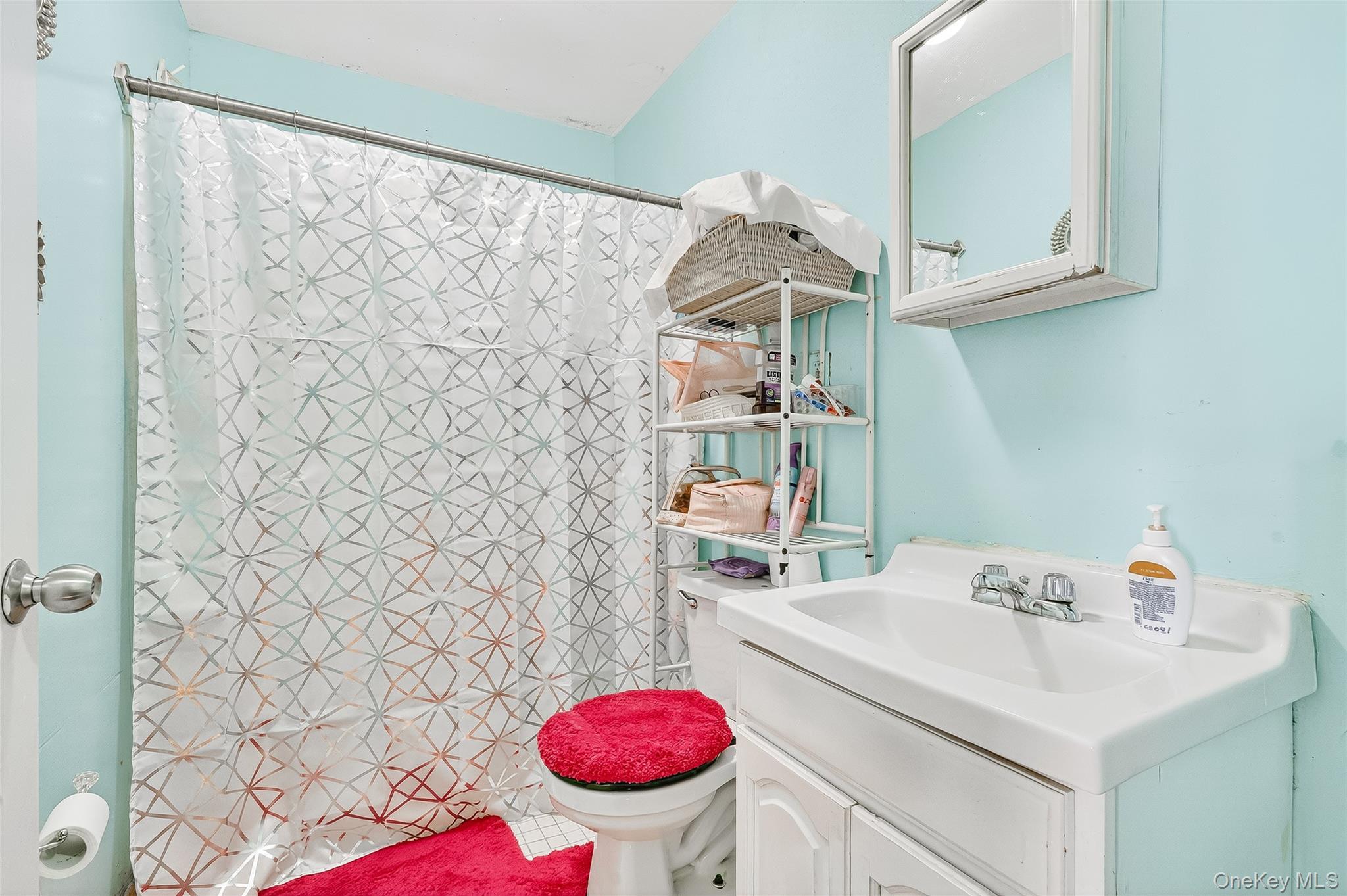 Single Family 175th  Bronx, NY 10453, MLS-913735-27