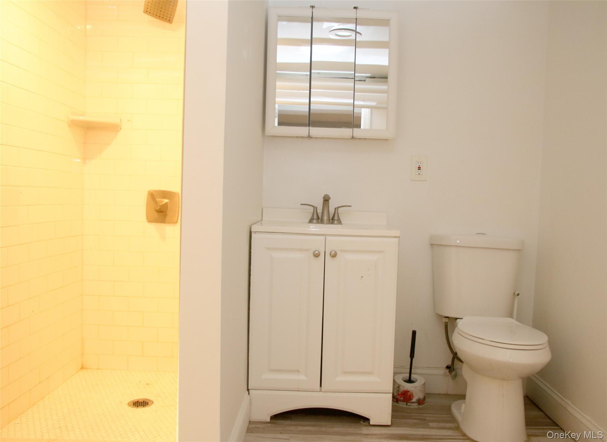 Single Family 177th  Queens, NY 11433, MLS-913811-19