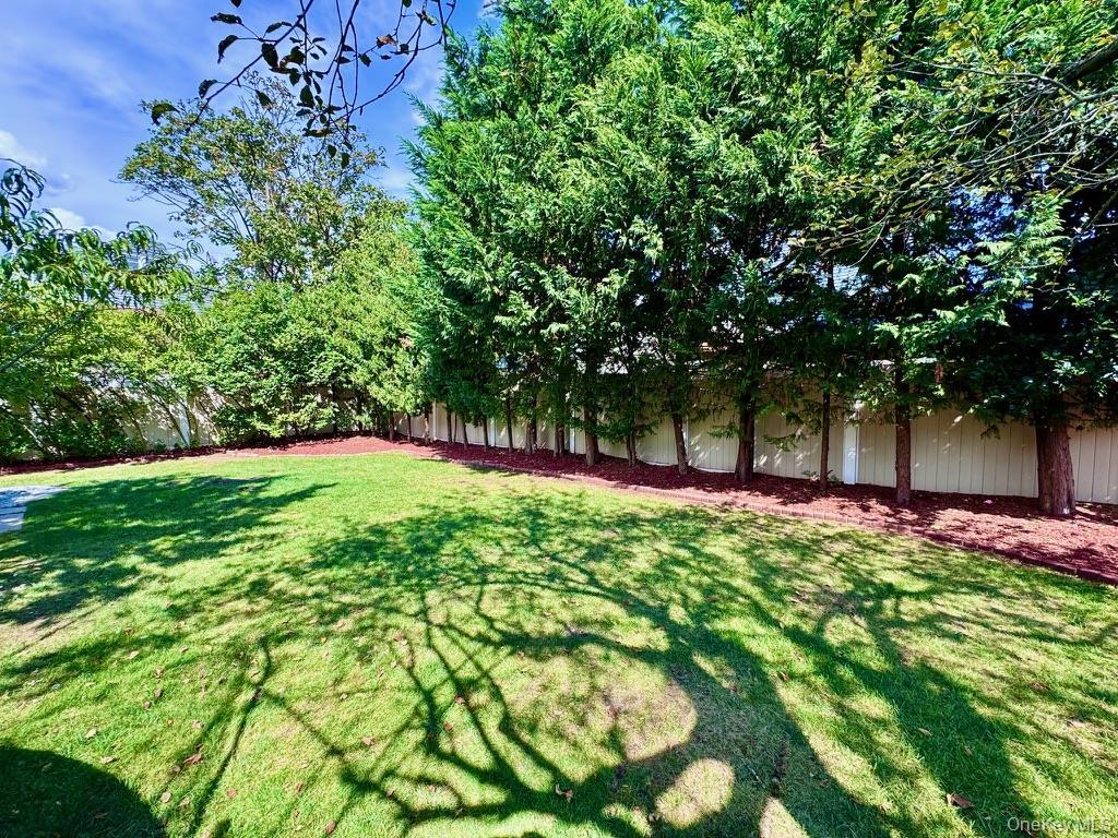 Single Family Walnut Nassau County, NY 11096, MLS-913823-4