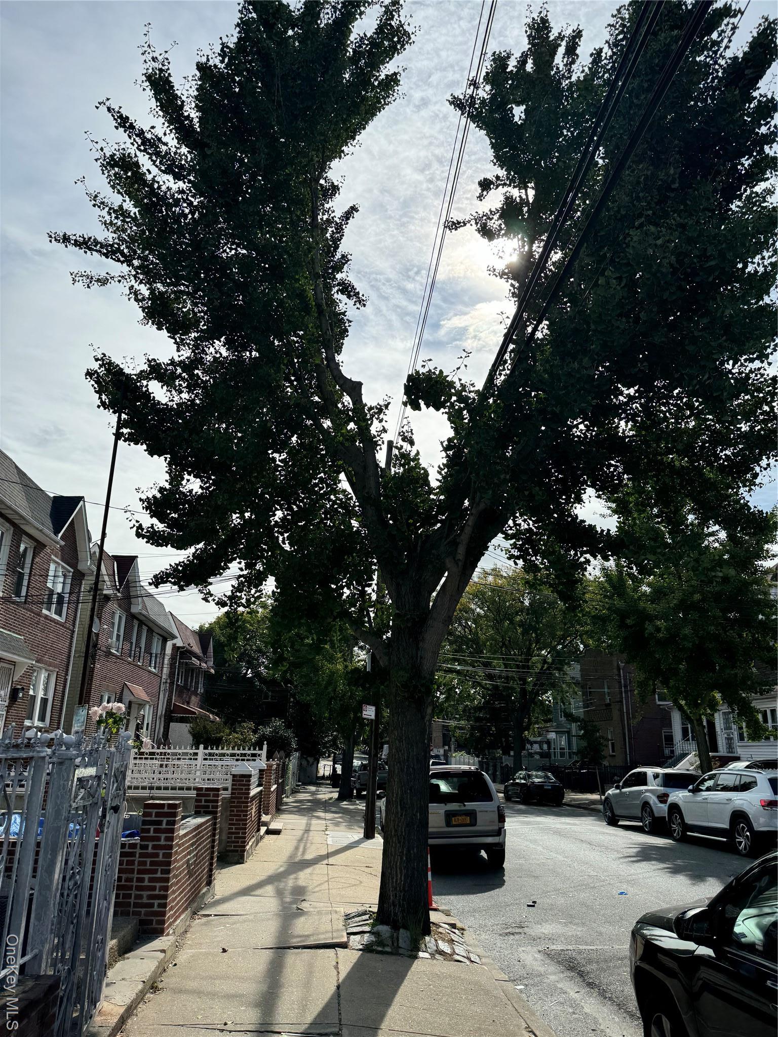 Single Family 219th Bronx, NY 10469, MLS-914011-4