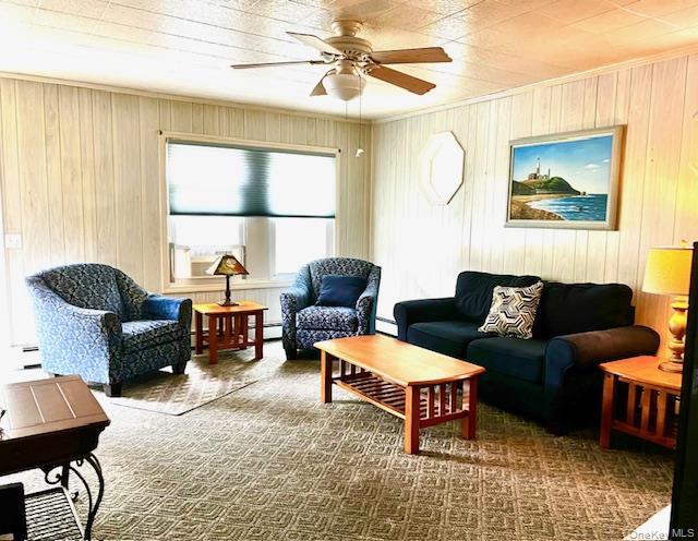 Single Family Champlain Suffolk County, NY 11779, MLS-914013-8