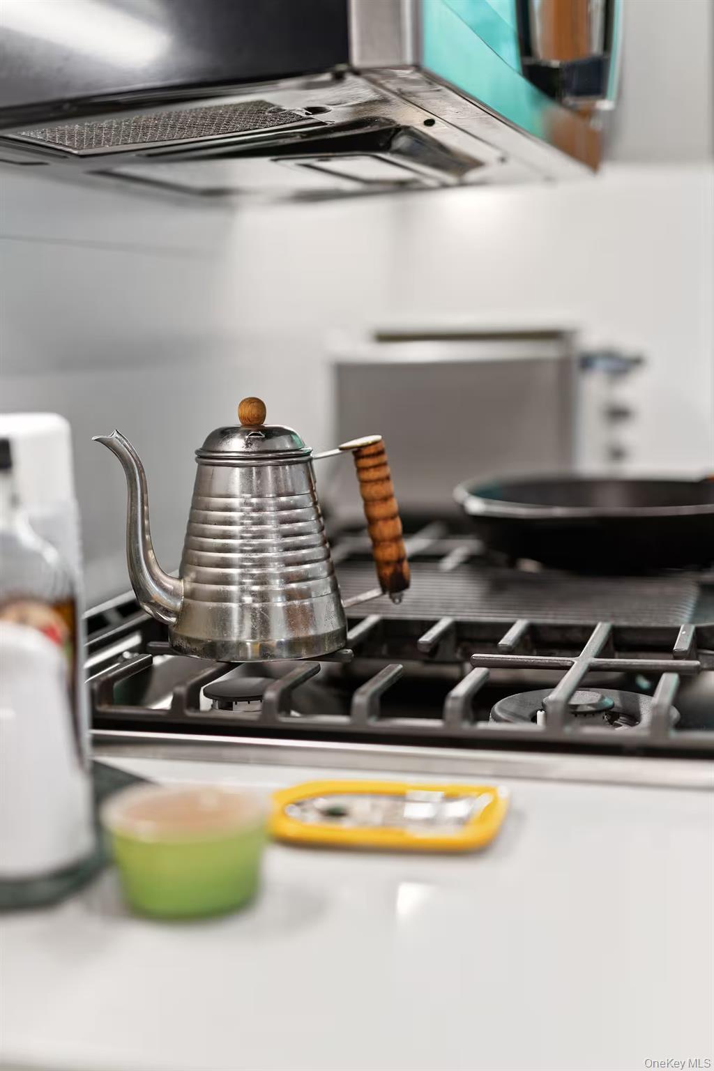 Single Family Spies  Ulster County, NY 12561, MLS-914163-13