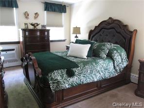 Coop Pearson Brooklyn, NY 11234, MLS-914207-6