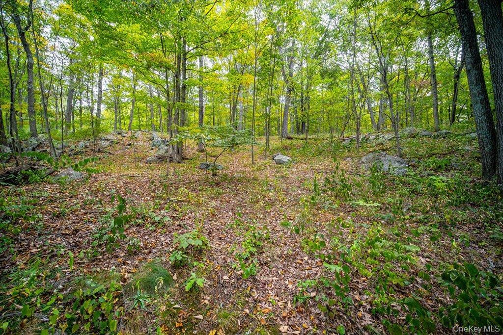 Single Family Oscawana Lake Putnam County, NY 10579, MLS-914316-22