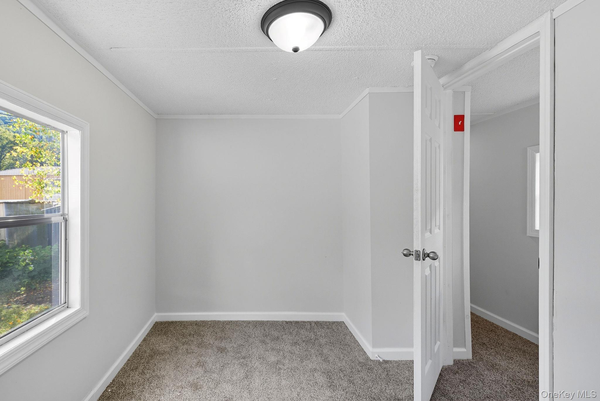 Single Family Sawkill Rd  Ulster County, NY 12401, MLS-914380-13