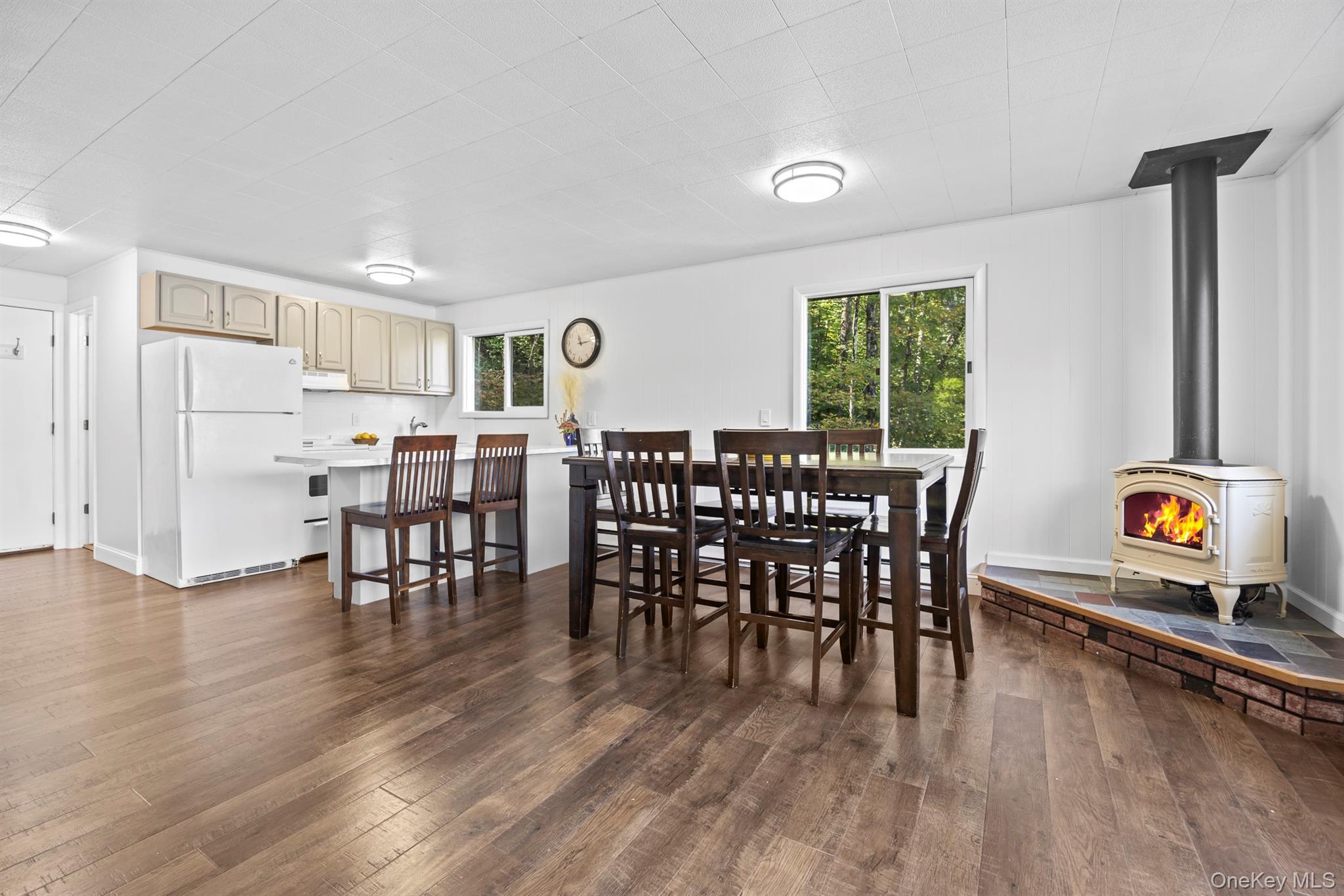 Single Family Pine Greene County, NY 12442, MLS-914449-10