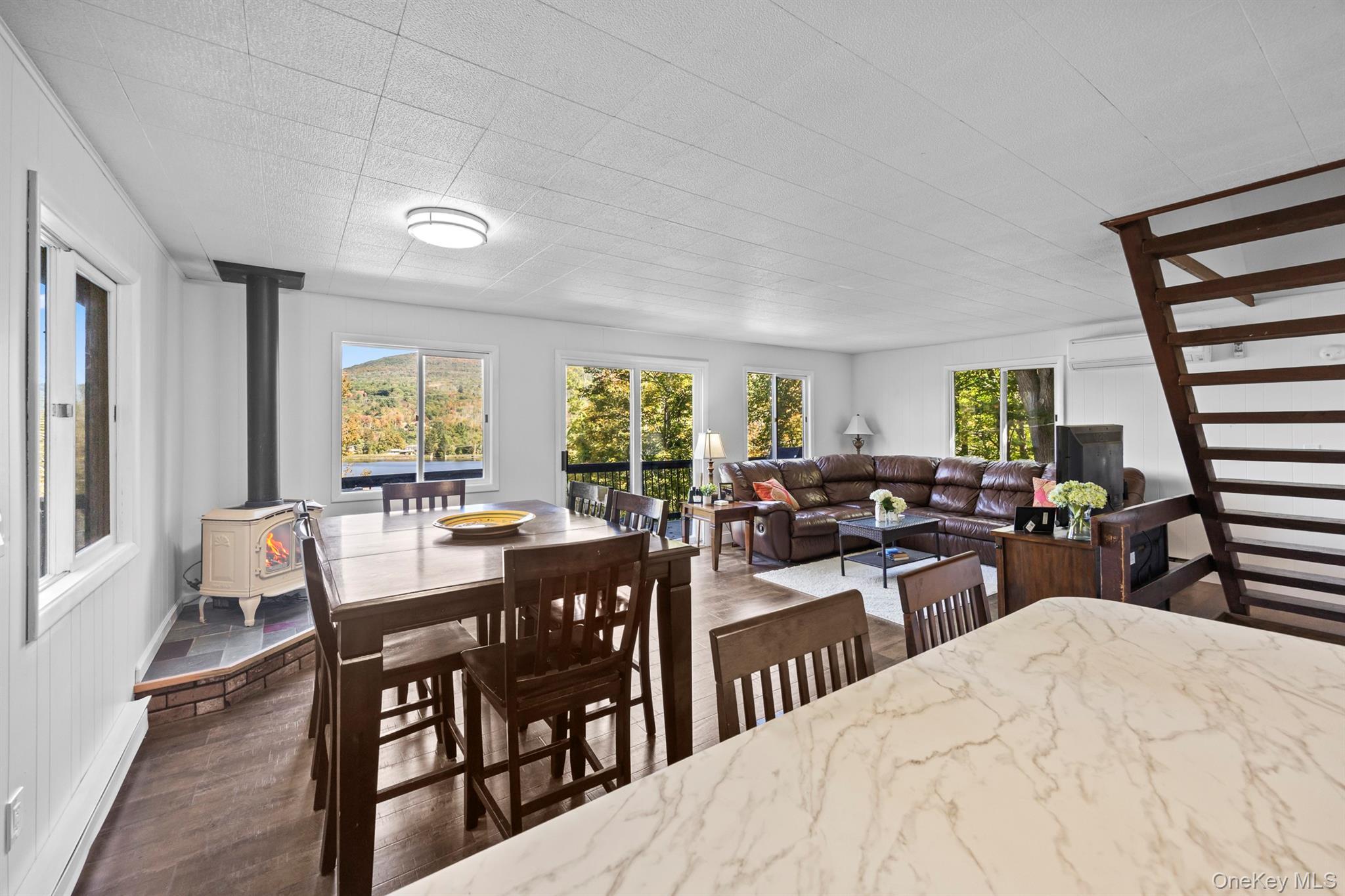 Single Family Pine Greene County, NY 12442, MLS-914449-13