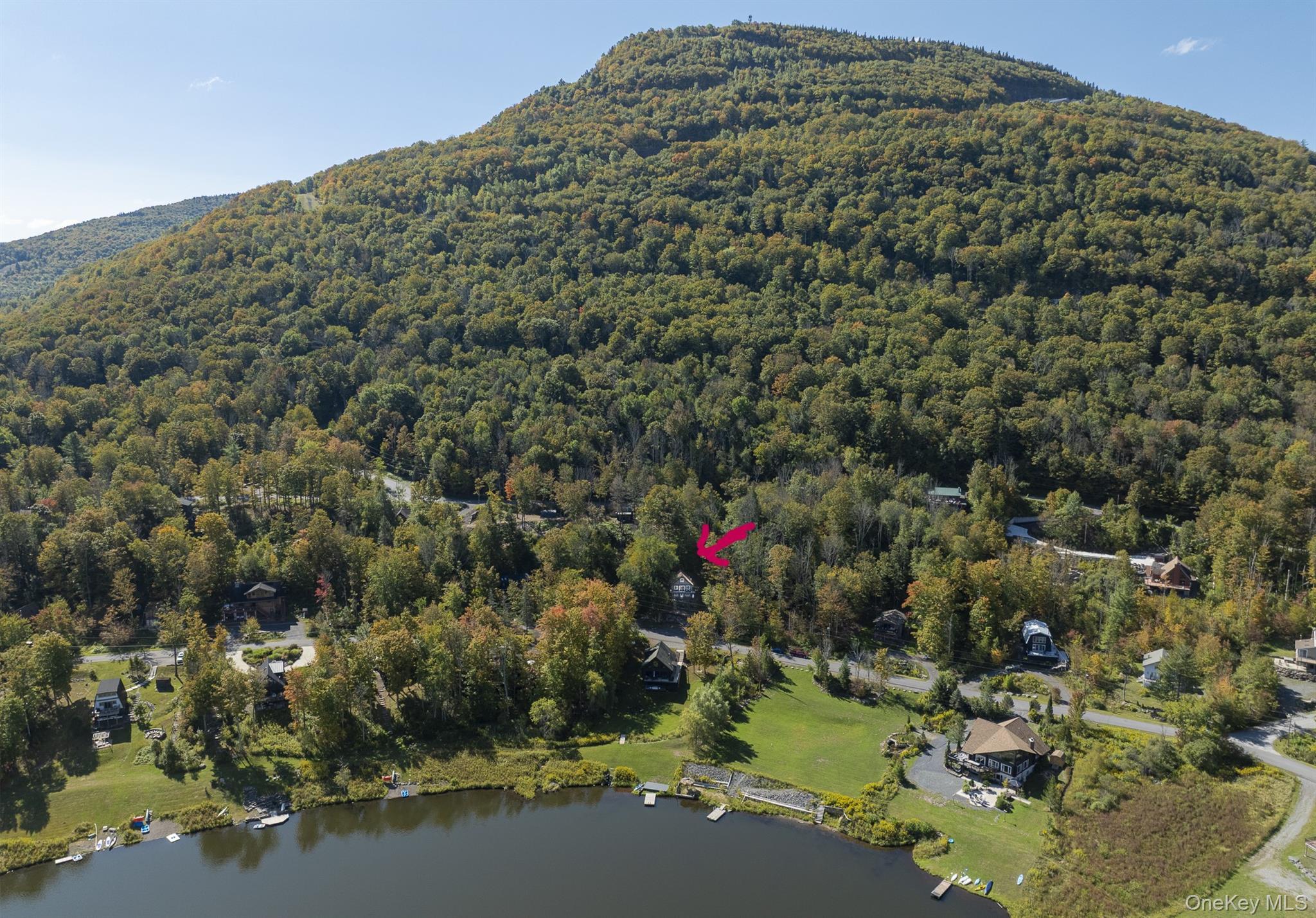 Single Family Pine Greene County, NY 12442, MLS-914449-3