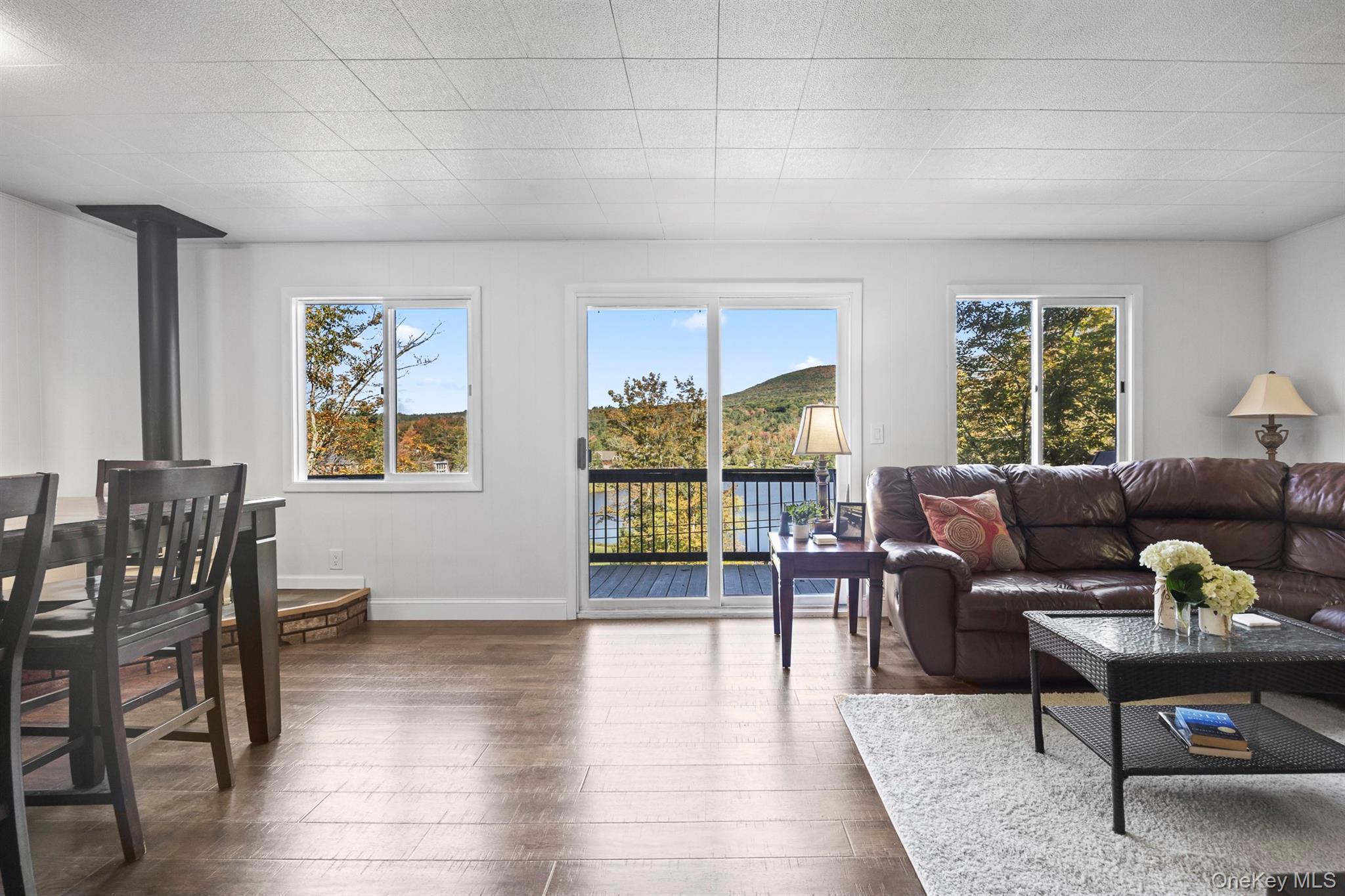 Single Family Pine Greene County, NY 12442, MLS-914449-6