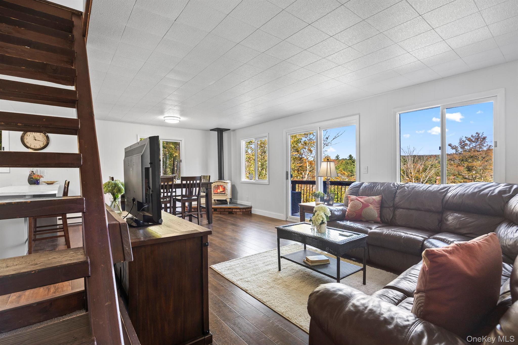 Single Family Pine Greene County, NY 12442, MLS-914449-8