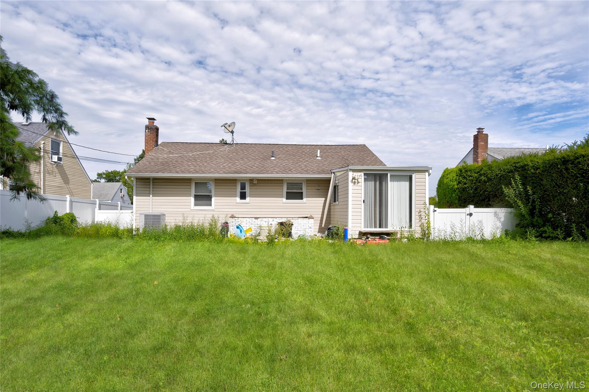 Single Family Ave  Nassau County, NY 11803, MLS-914472-17