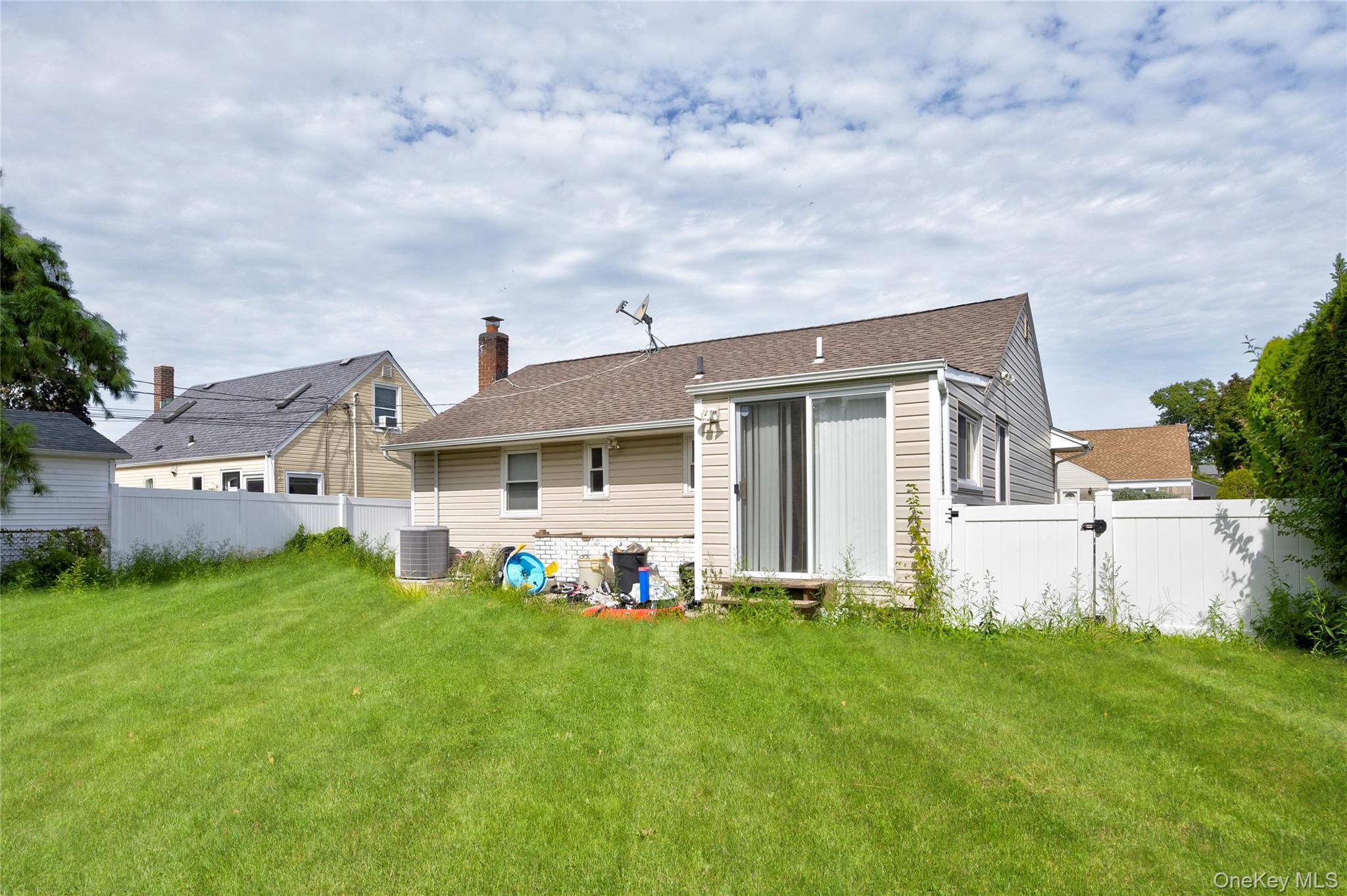 Single Family Ave  Nassau County, NY 11803, MLS-914472-18