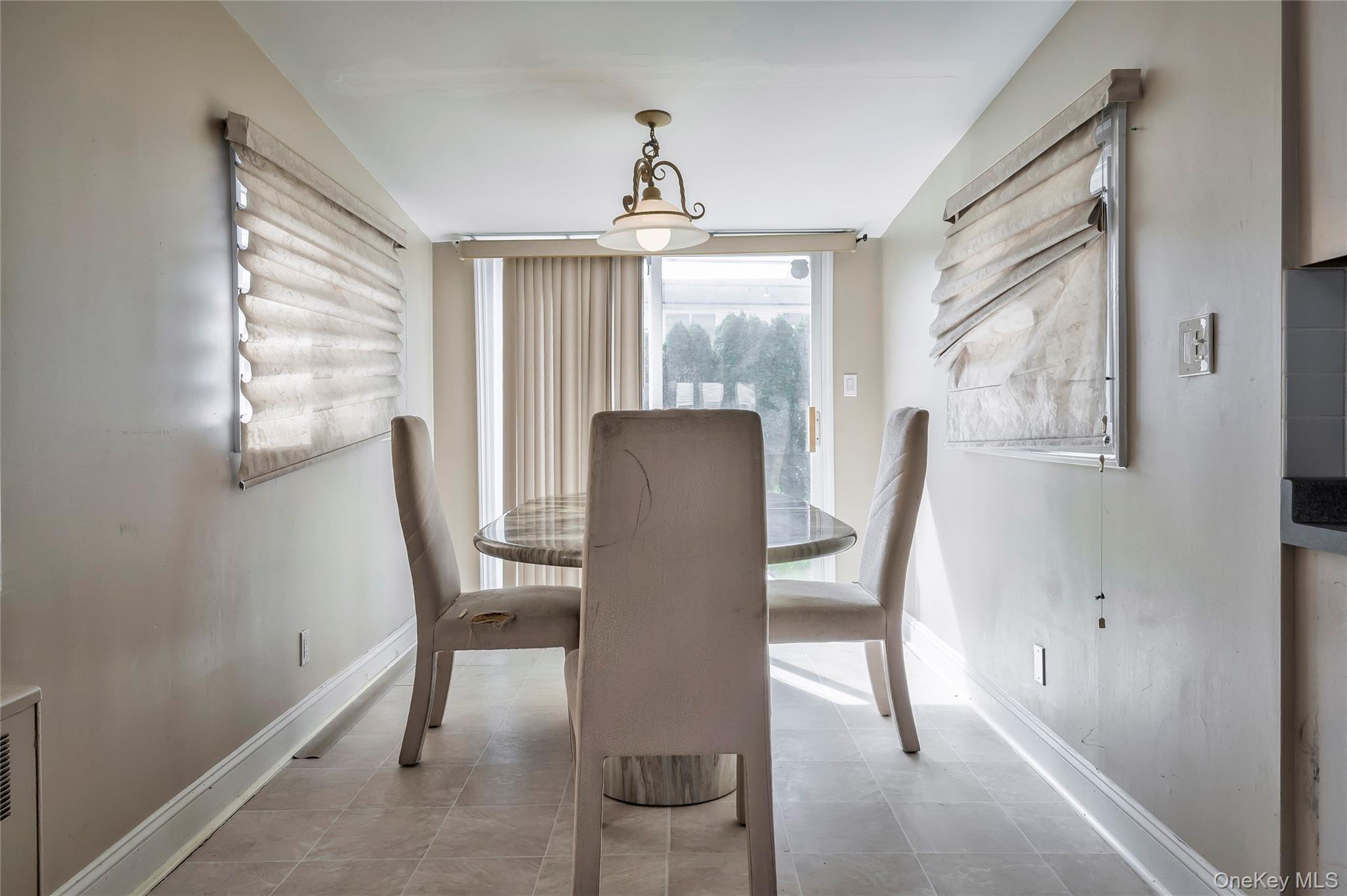 Single Family Ave  Nassau County, NY 11803, MLS-914472-7