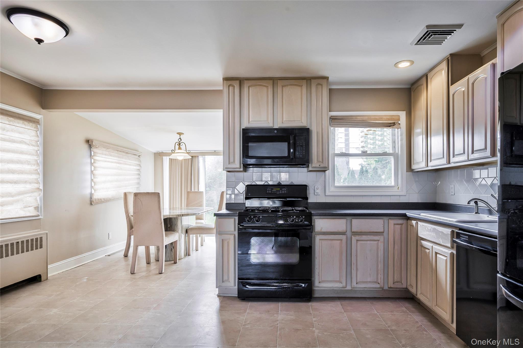 Single Family Ave  Nassau County, NY 11803, MLS-914472-9