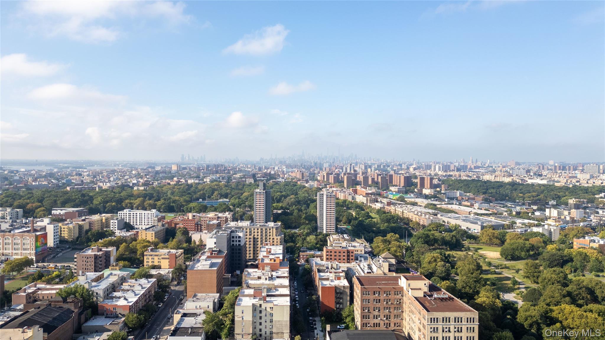 Single Family Hughes Bronx, NY 10457, MLS-914526-35