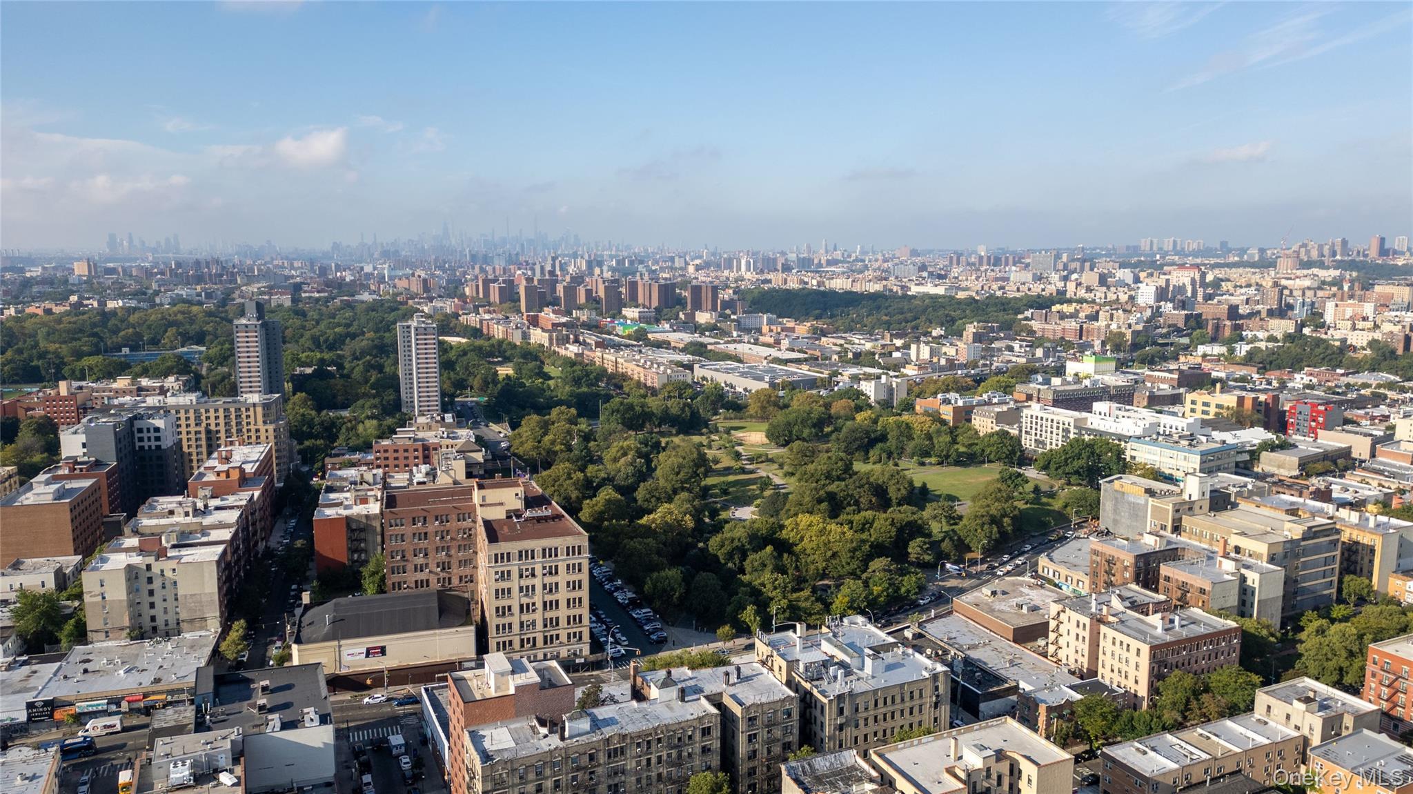 Single Family Hughes Bronx, NY 10457, MLS-914526-36