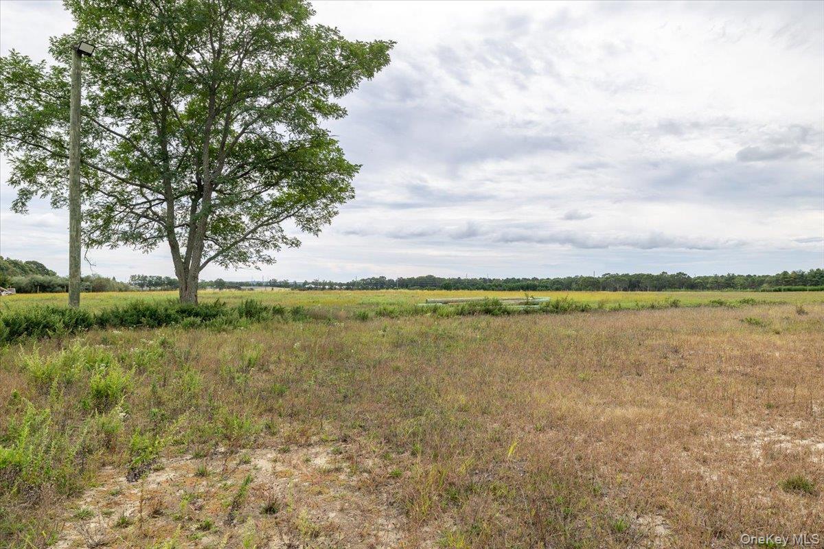 Single Family Middle Suffolk County, NY 11933, MLS-914544-14