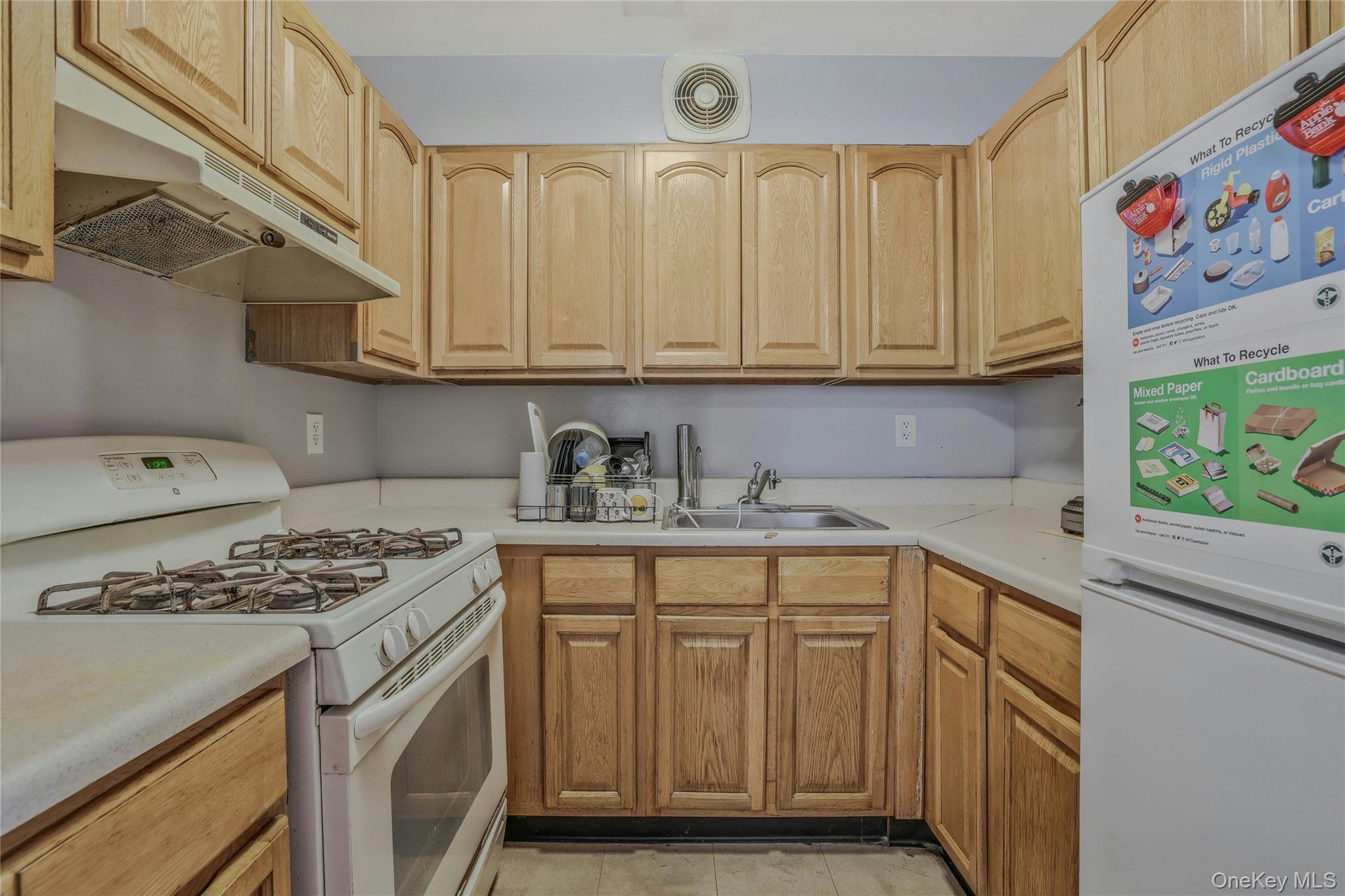 Single Family Essex  Brooklyn, NY 11208, MLS-914617-17