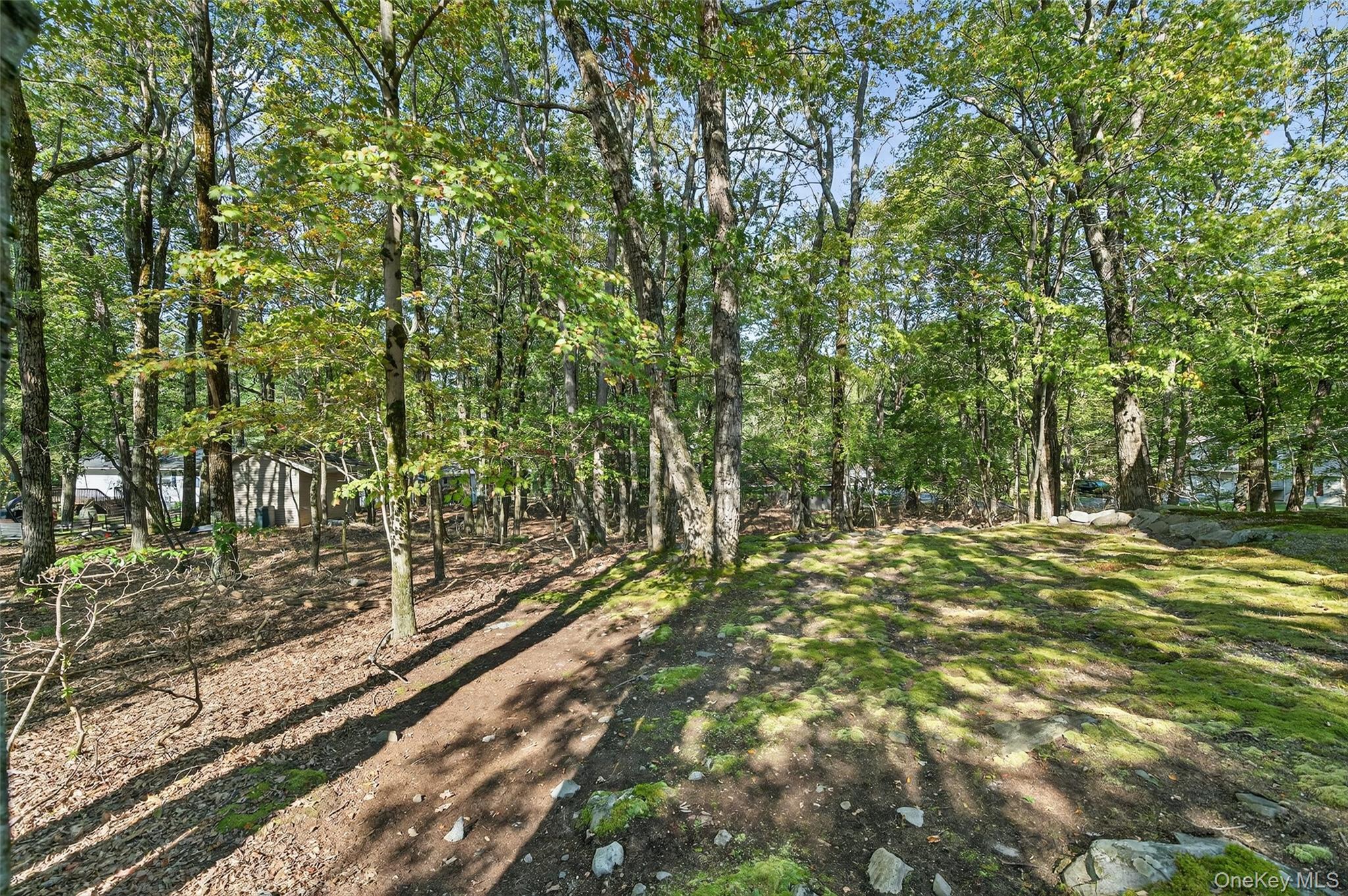 Single Family Pebble Sullivan County, NY 12775, MLS-914621-29