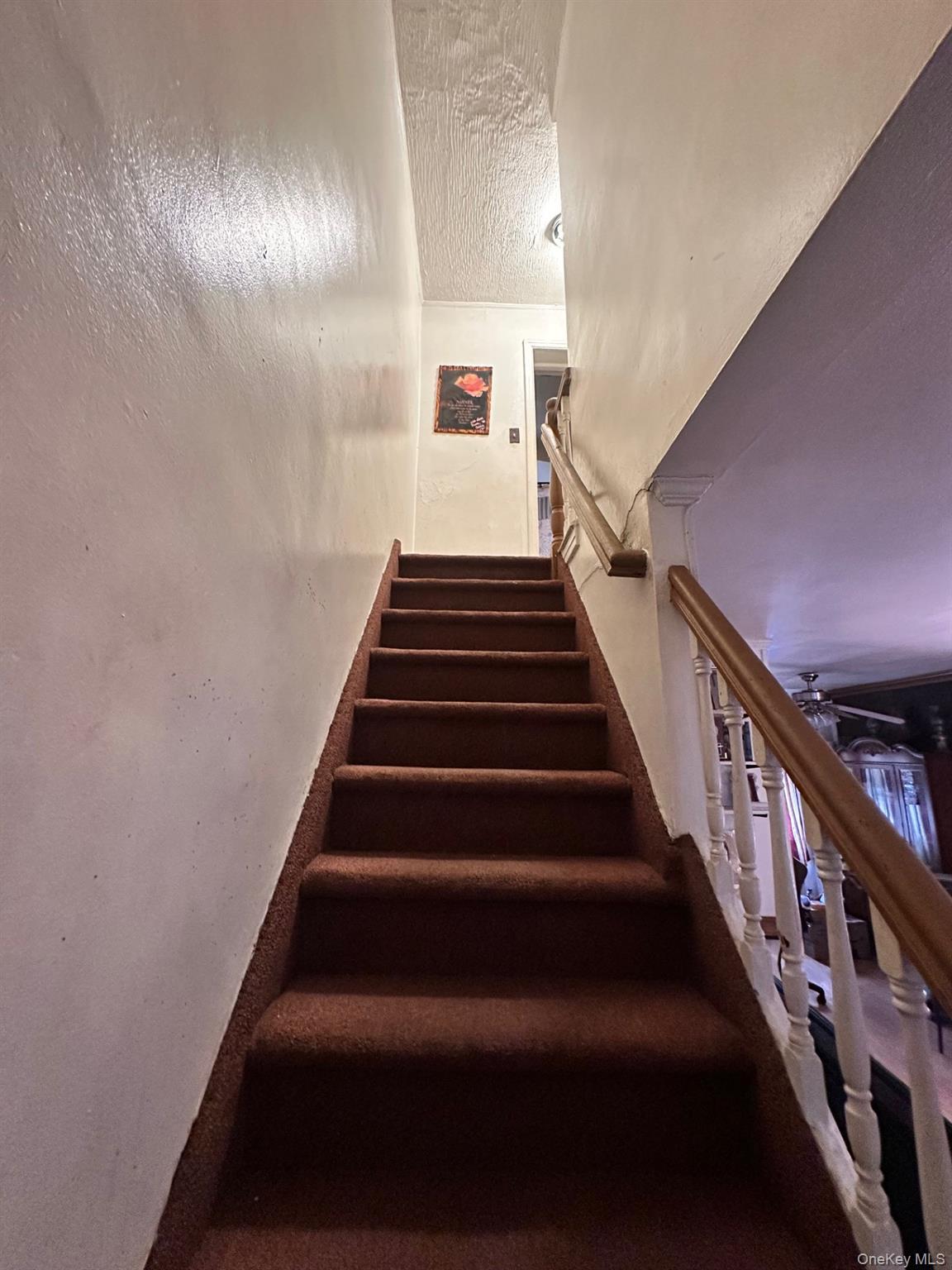 Single Family 86th  Brooklyn, NY 11236, MLS-914720-5