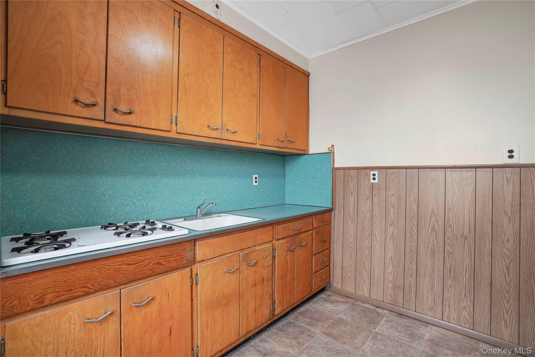 Single Family 73  Queens, NY 11385, MLS-914856-10