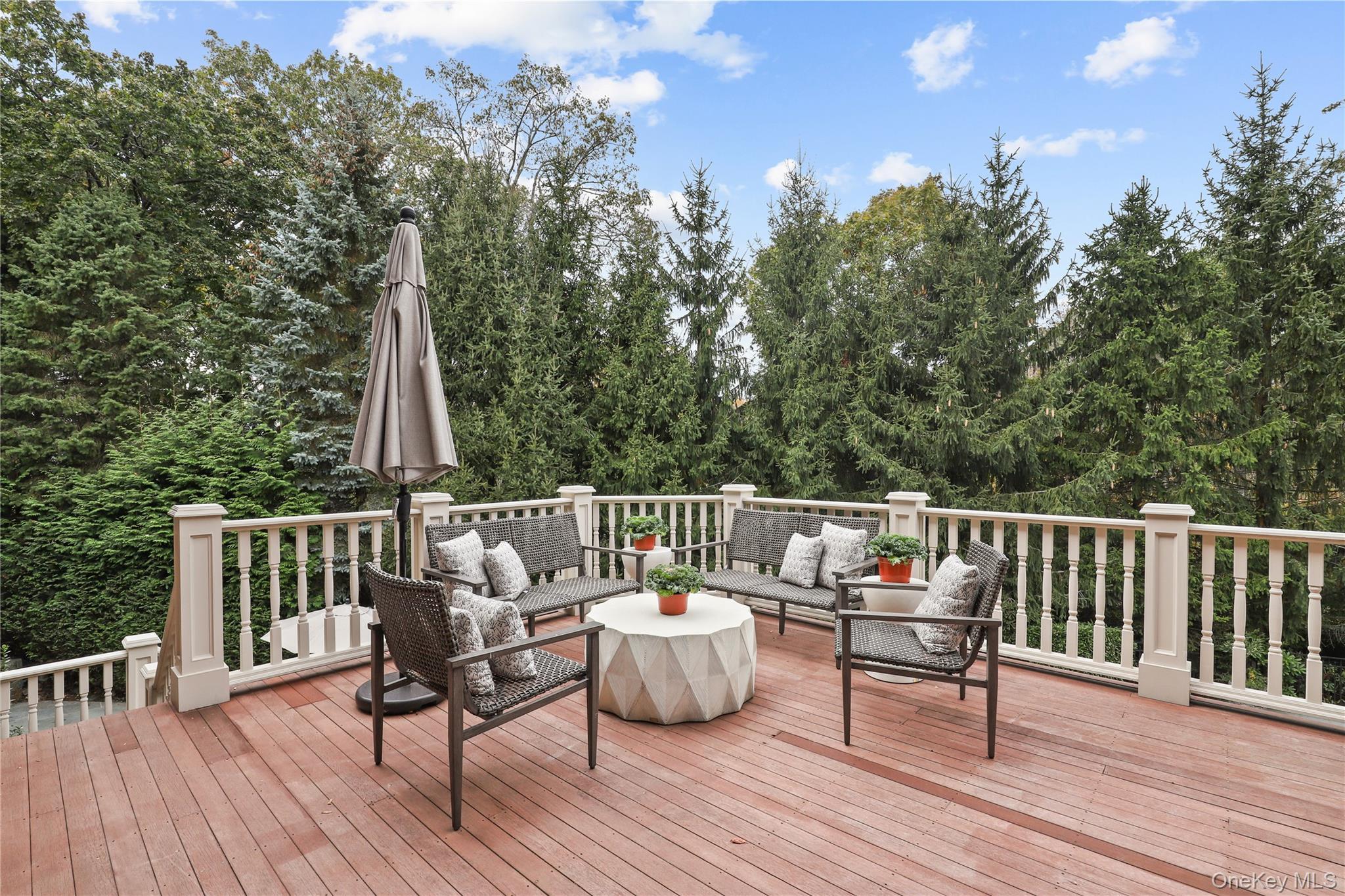 Single Family Brook View Westchester County, NY 10580, MLS-914916-44