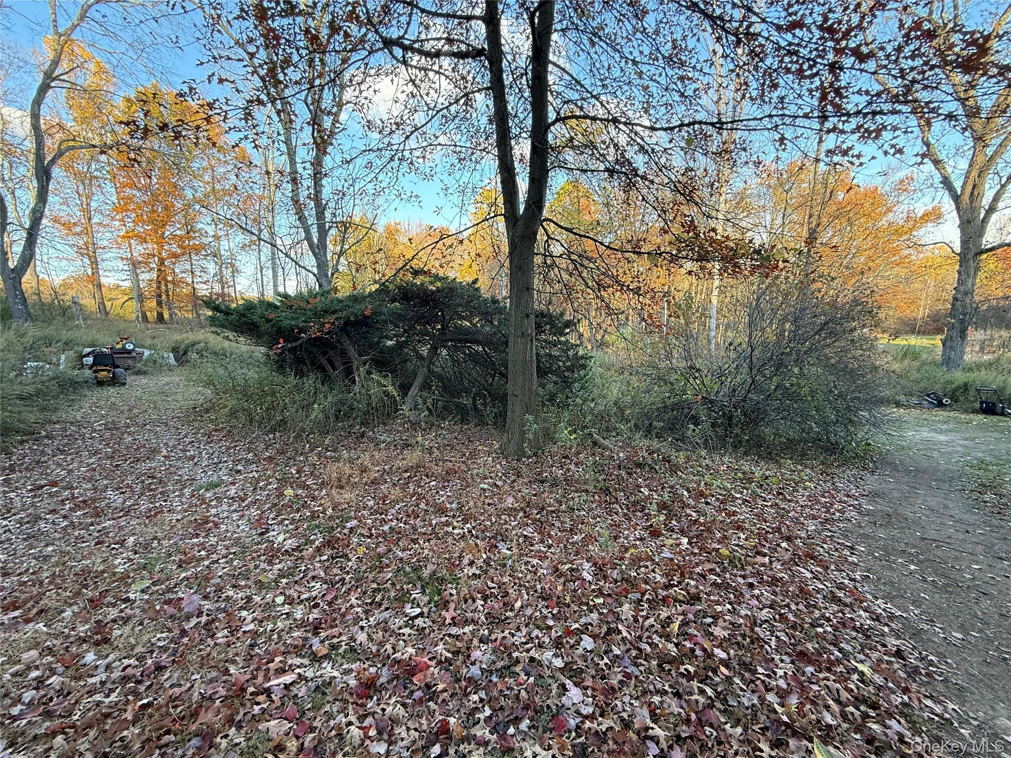 Single Family Old Roosa Gap  Sullivan County, NY 12721, MLS-914922-23