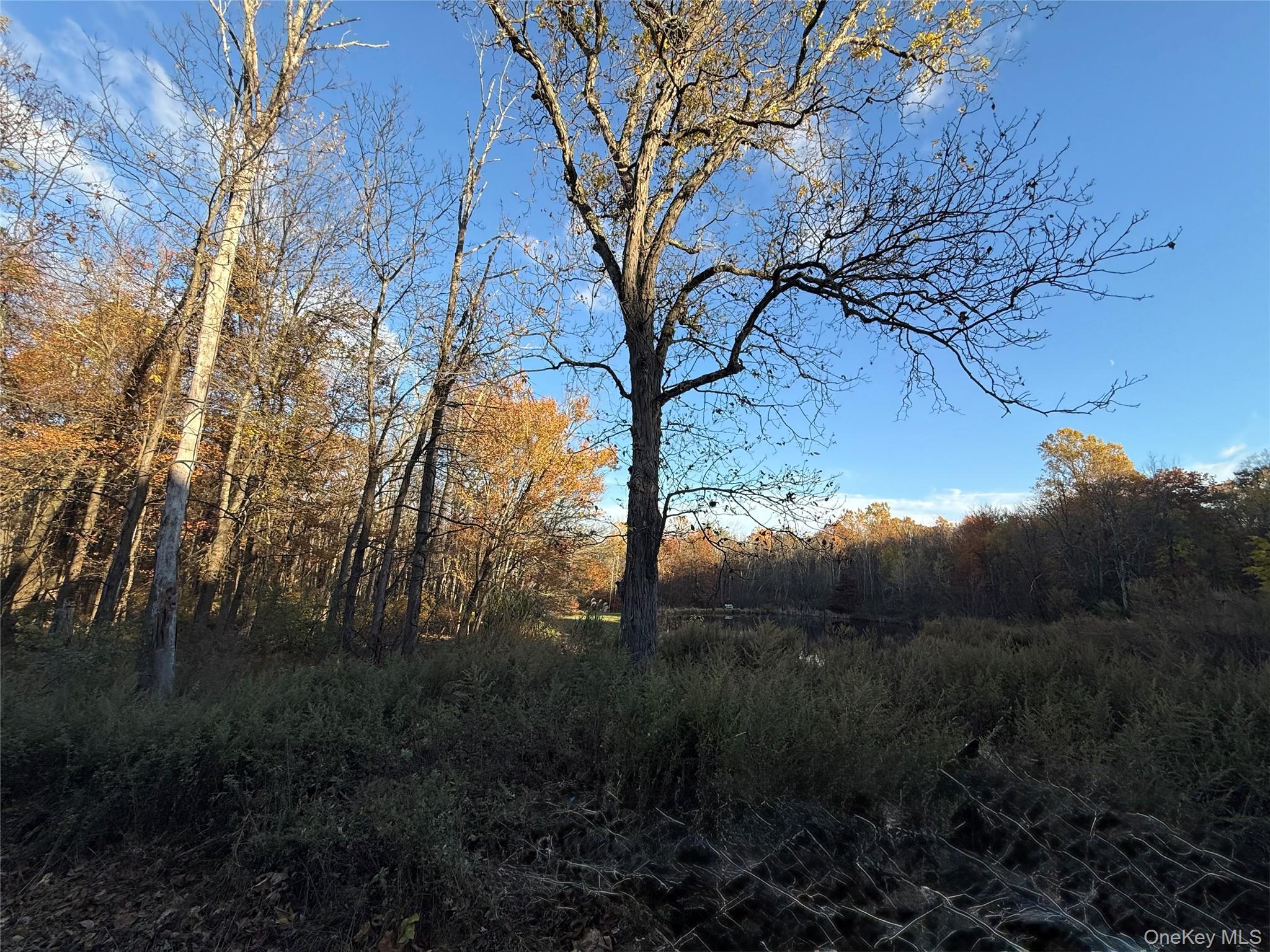 Single Family Old Roosa Gap  Sullivan County, NY 12721, MLS-914922-24