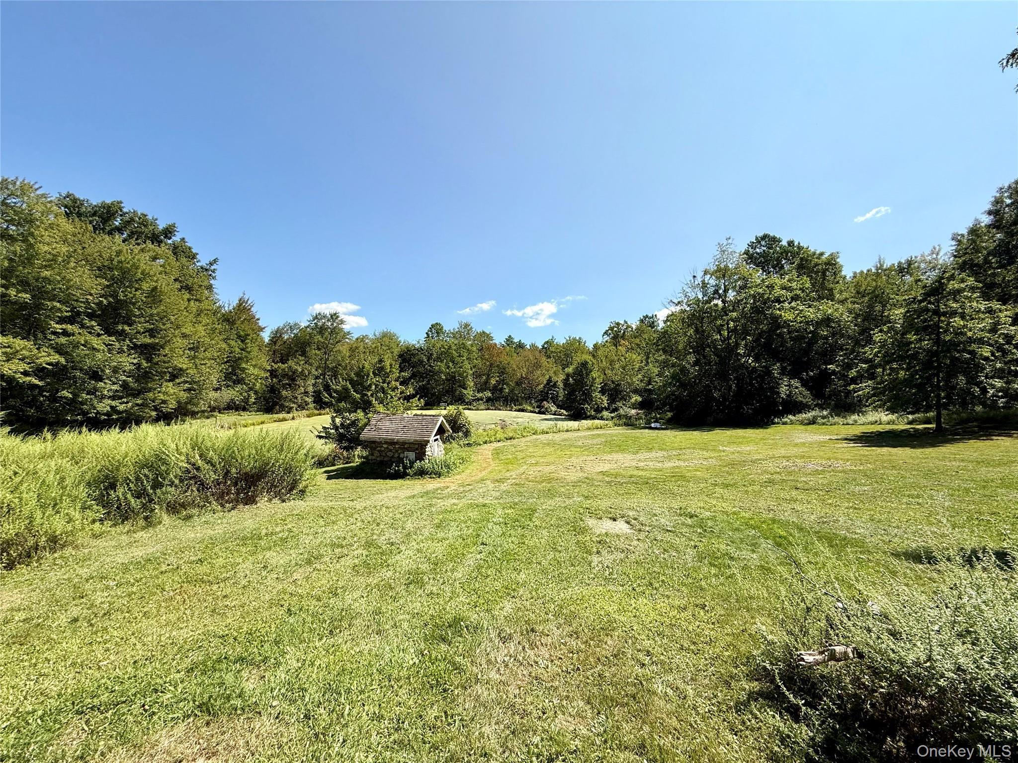 Single Family Old Roosa Gap  Sullivan County, NY 12721, MLS-914922-8