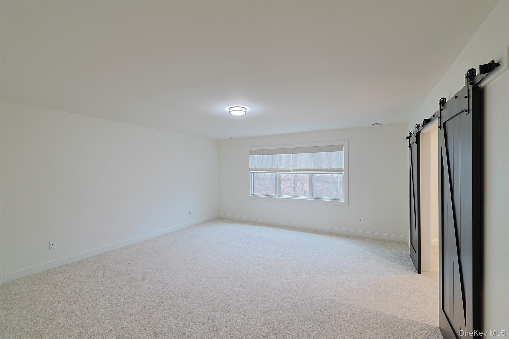 Single Family Wildwood Orange County, NY 12575, MLS-914960-29