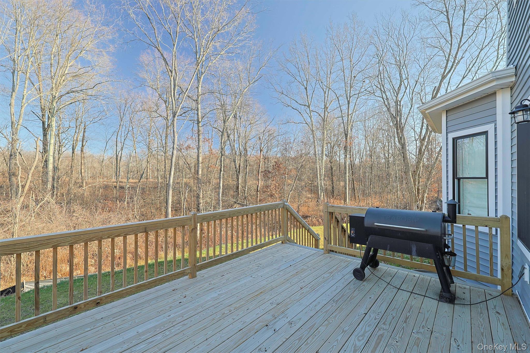 Single Family Wildwood Orange County, NY 12575, MLS-914960-40