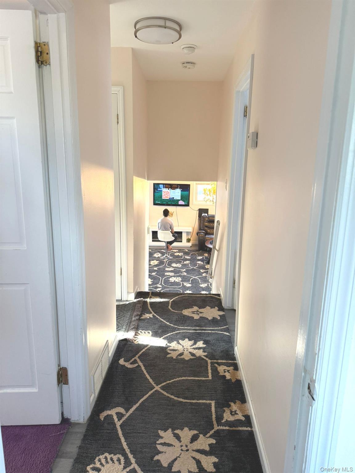 Single Family Narcissus  Nassau County, NY 11801, MLS-914974-13