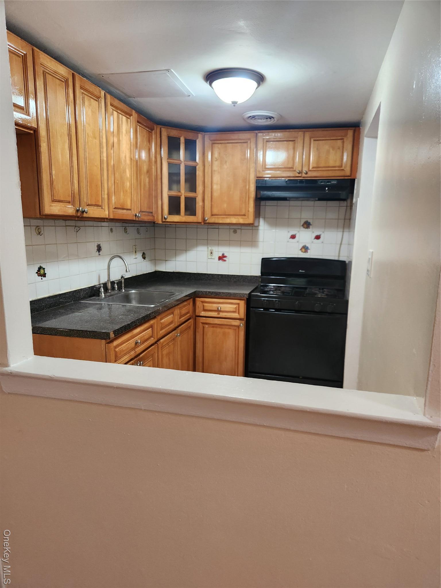 Single Family 98th Queens, NY 11421, MLS-914985-9