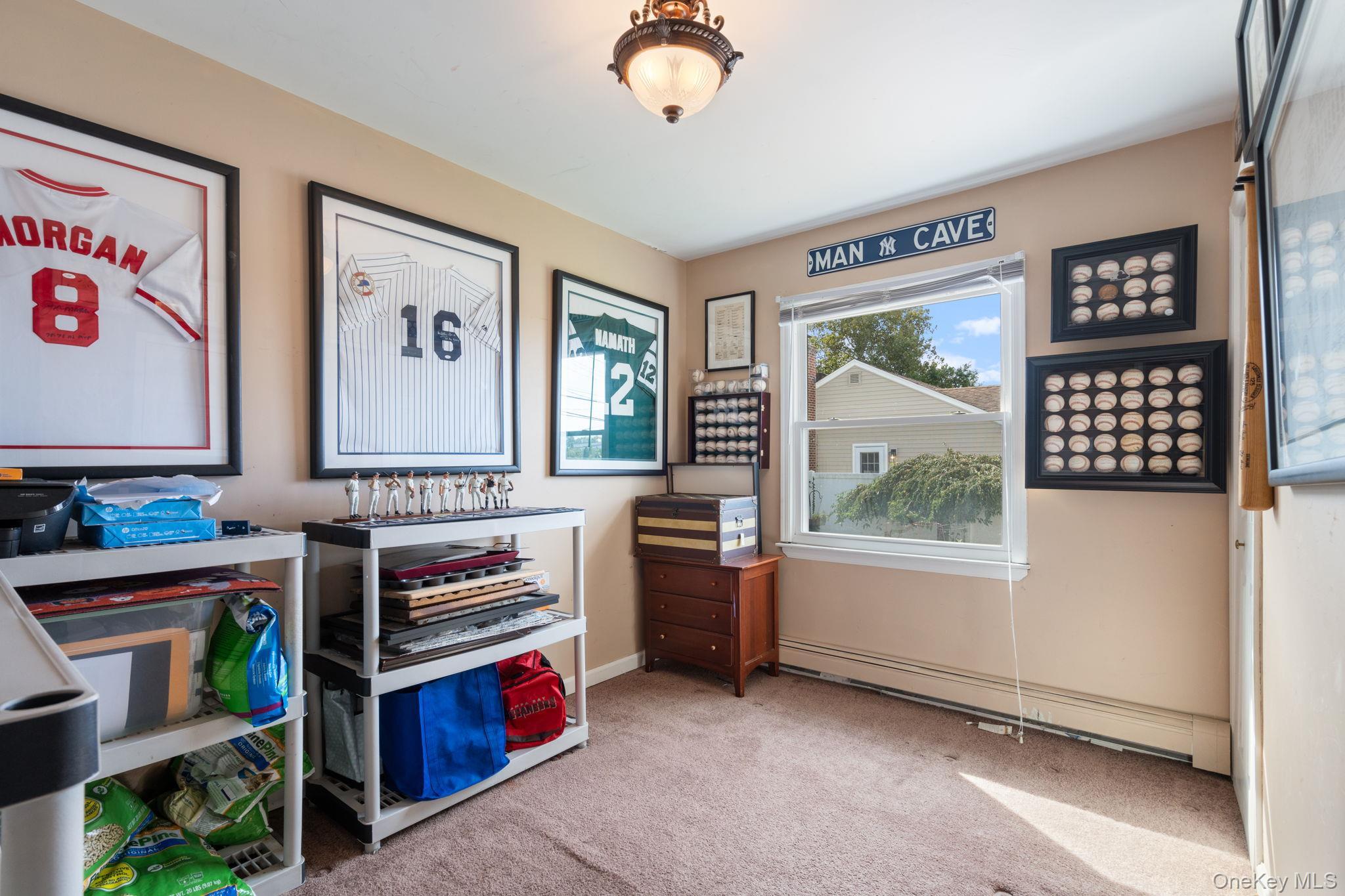 Single Family Thorne  Nassau County, NY 11758, MLS-915091-14