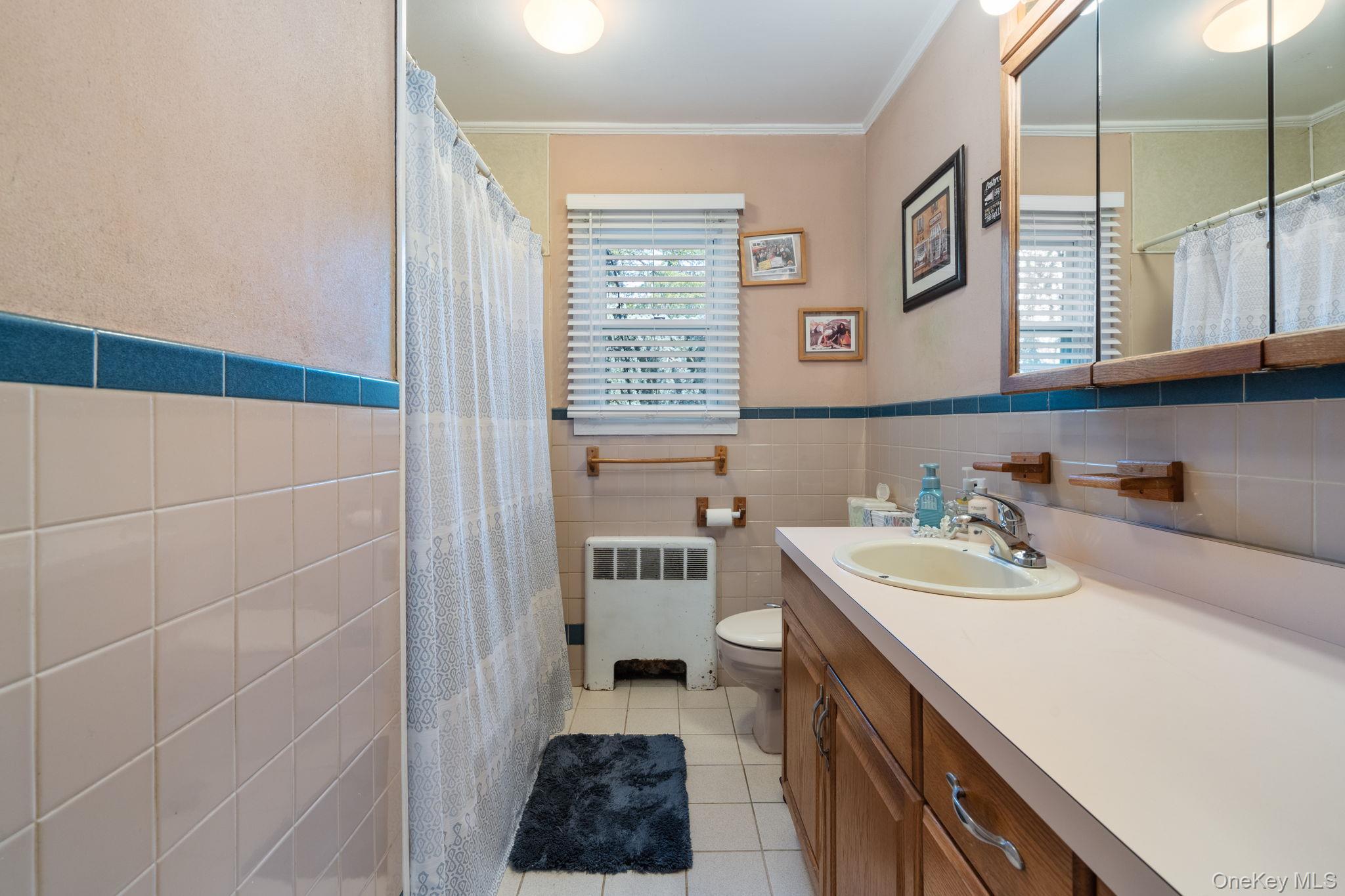 Single Family Thorne  Nassau County, NY 11758, MLS-915091-16