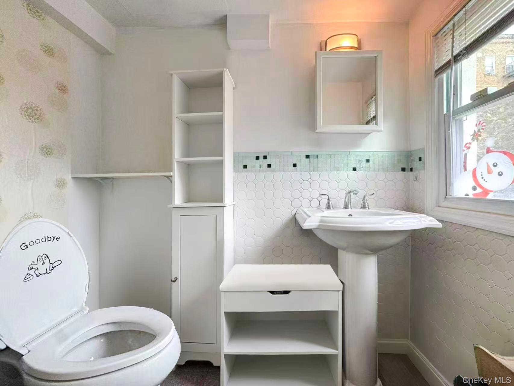 Single Family 161  Queens, NY 11358, MLS-915114-10