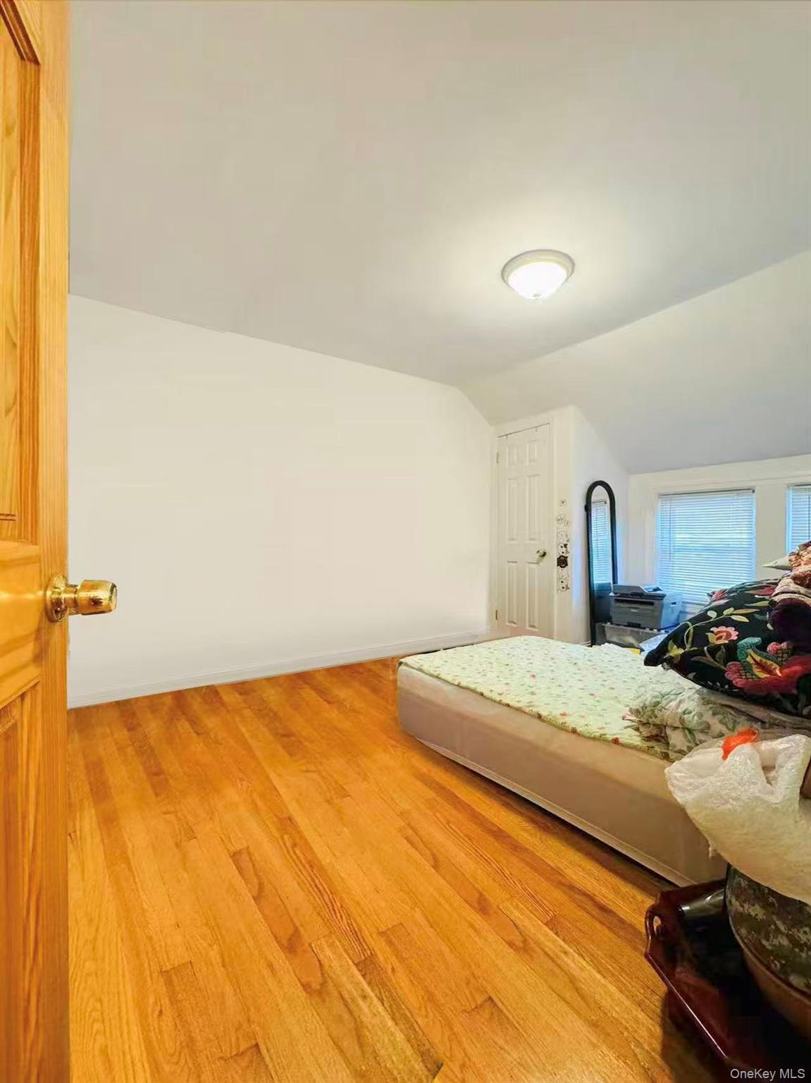 Single Family 161  Queens, NY 11358, MLS-915114-8