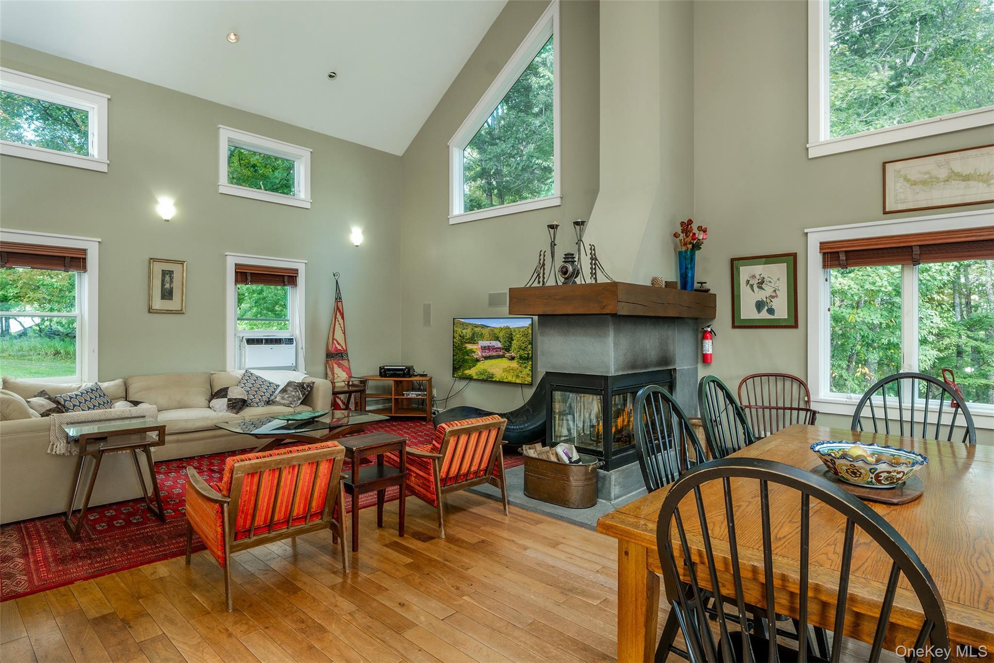 Single Family Small  Delaware County, NY 12455, MLS-915208-10