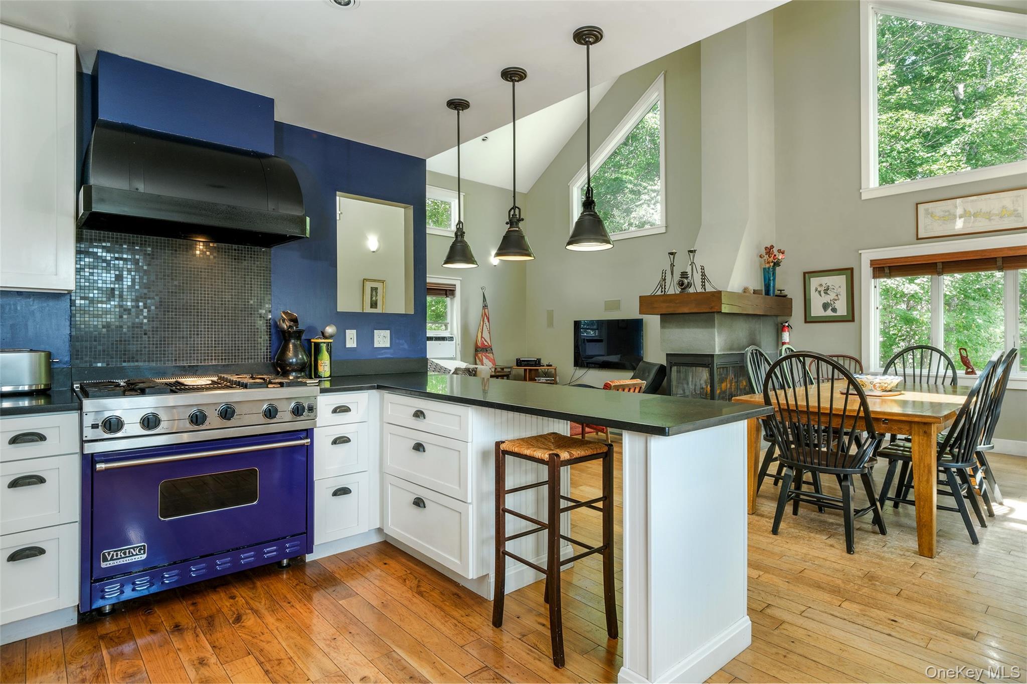 Single Family Small  Delaware County, NY 12455, MLS-915208-14