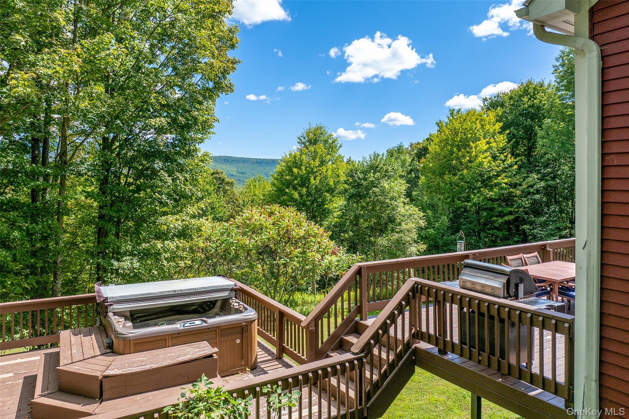 Single Family Small  Delaware County, NY 12455, MLS-915208-43