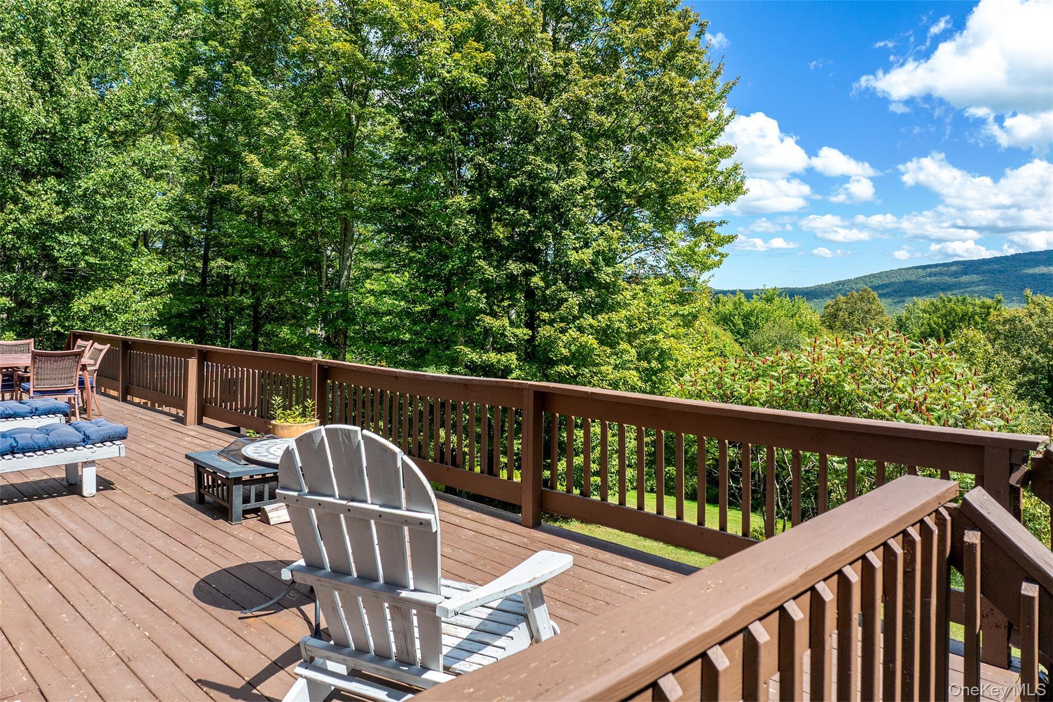 Single Family Small  Delaware County, NY 12455, MLS-915208-5