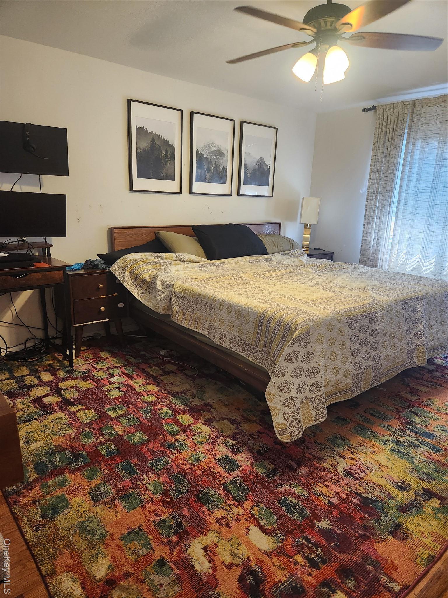 Single Family Bascom  Queens, NY 11436, MLS-915213-5