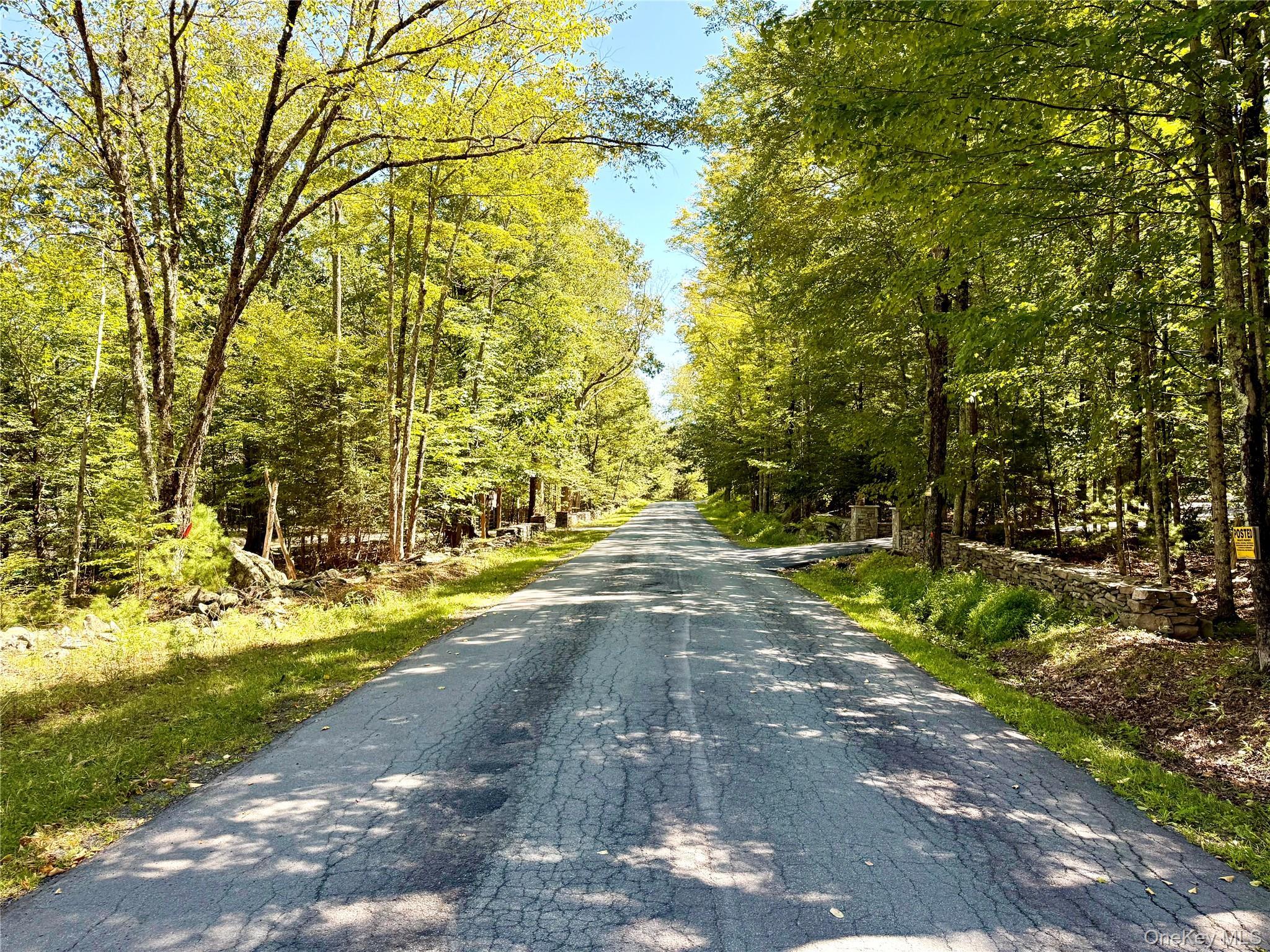 Single Family Plank  Sullivan County, NY 12762, MLS-915232-30