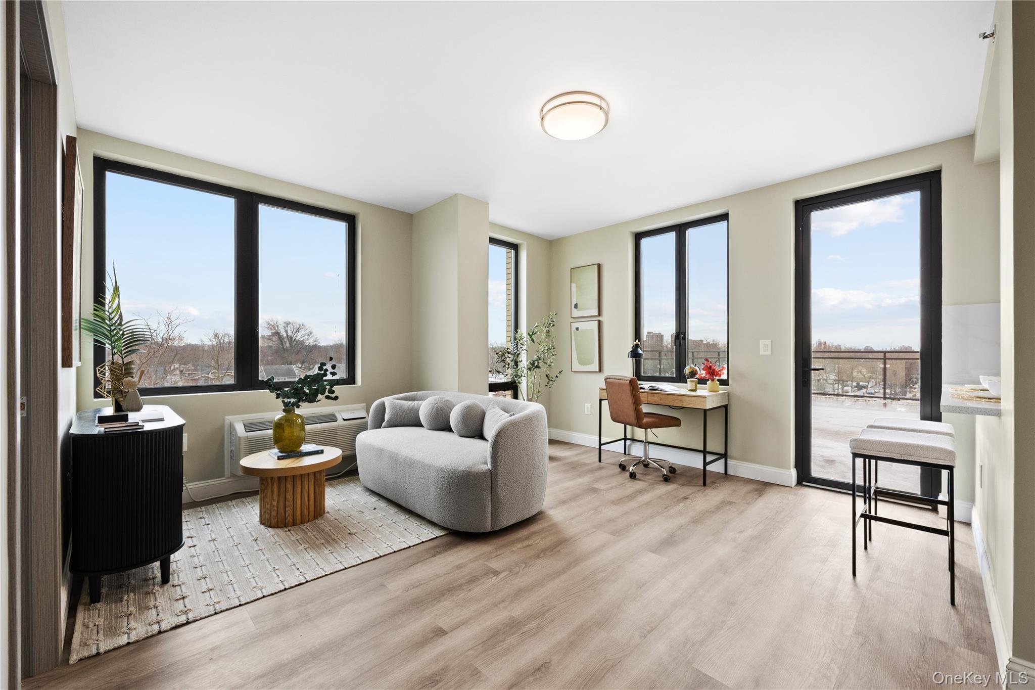 Condo 72nd  Queens, NY 11365, MLS-915408-9