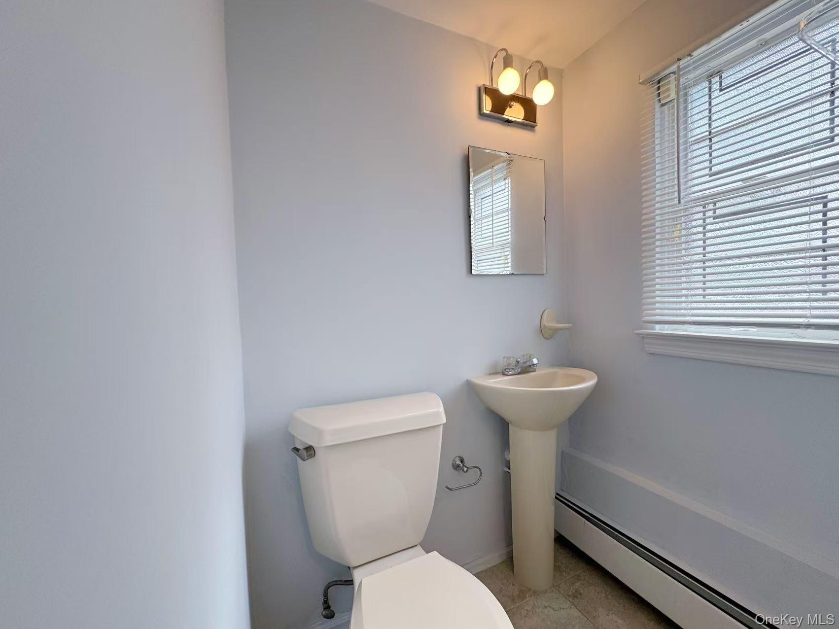 Single Family Celia  Nassau County, NY 11753, MLS-915443-10