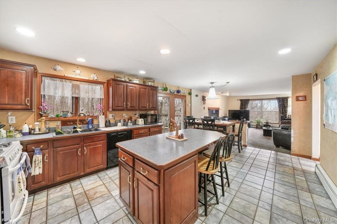 Single Family James Orange County, NY 12771, MLS-915546-15