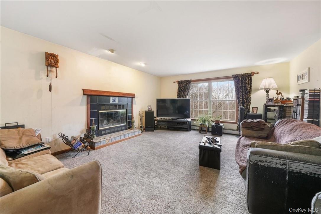 Single Family James Orange County, NY 12771, MLS-915546-18